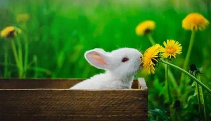 九游游戏-意甲天气影响比赛，足球也有“天气”因素，意甲日程