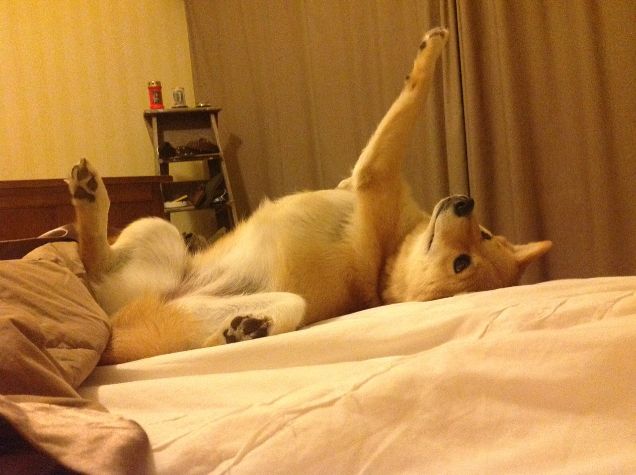 详细阅读:九游网-足球智慧赛事平台实现一站式赛事管理,足球知识网络竞赛app 九游网-足球智慧赛事平台实现一站式赛事管理,足球知识网络竞赛app