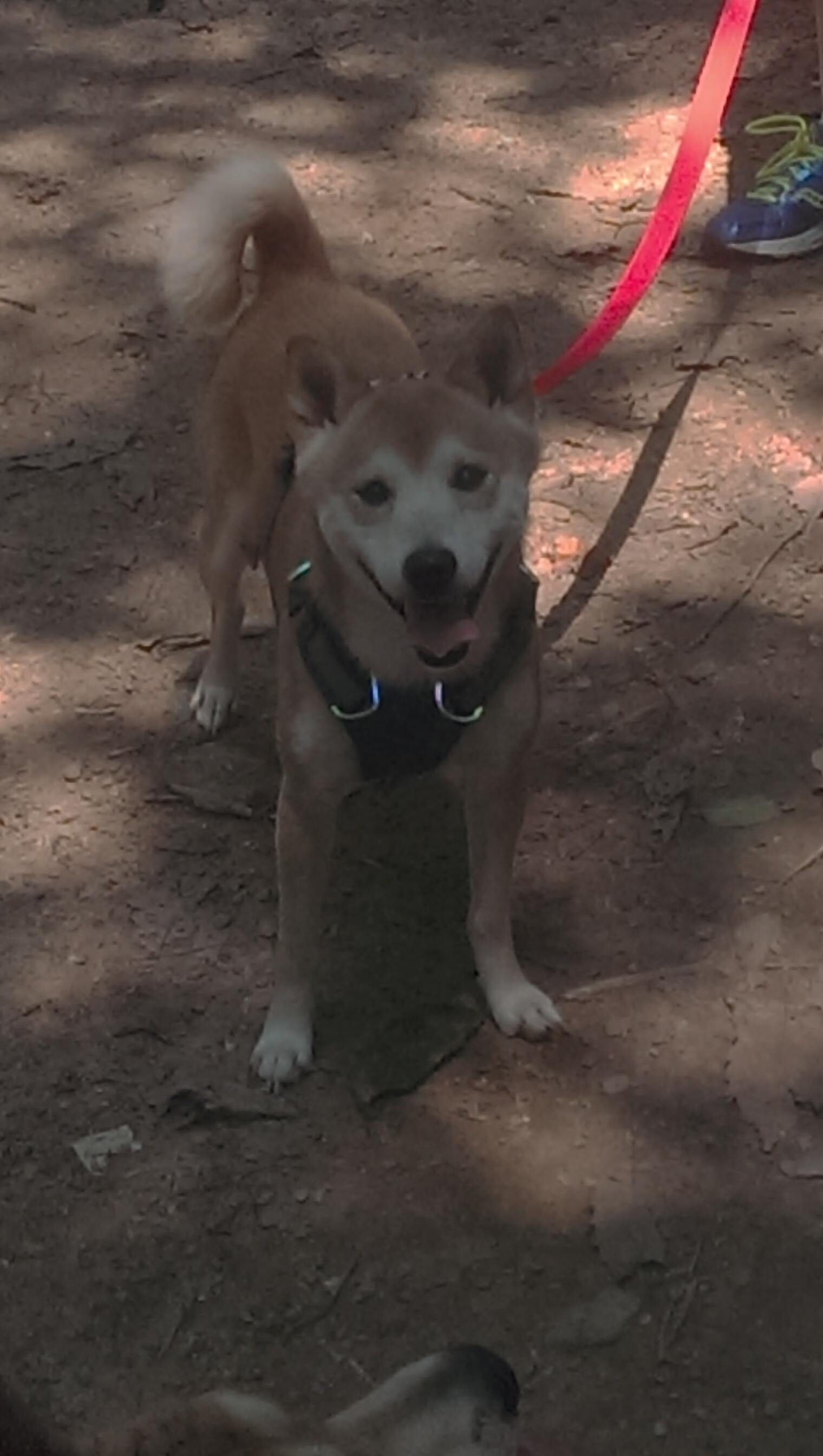 九游登录中心-逆转奇迹:究竟哪些球队成功完成绝地反击?,《逆转奇兵》