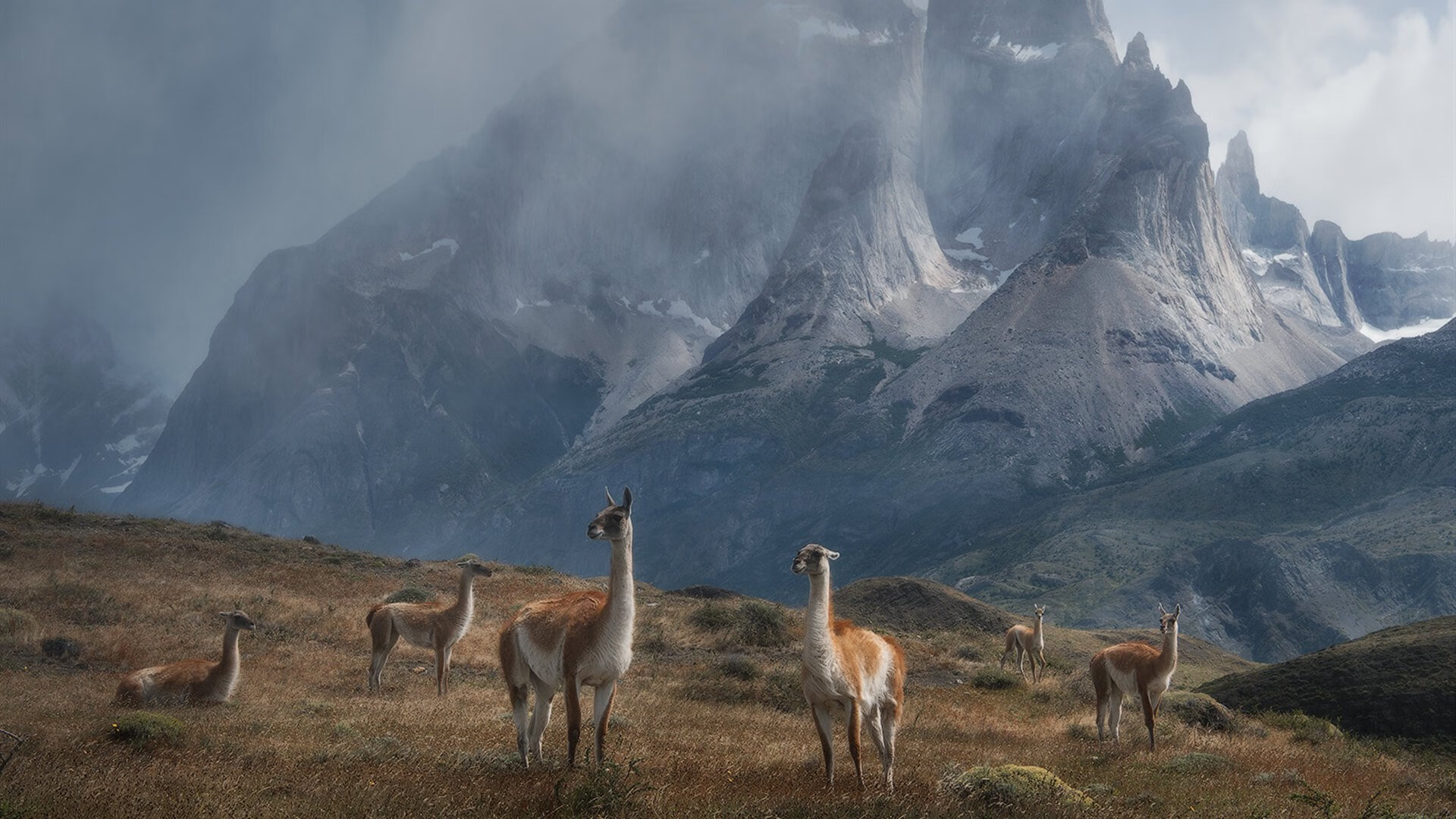 JIUYOU GAMING-黄蜂主场改装启用地热供能系统，响应环保趋势，改造黄蜂