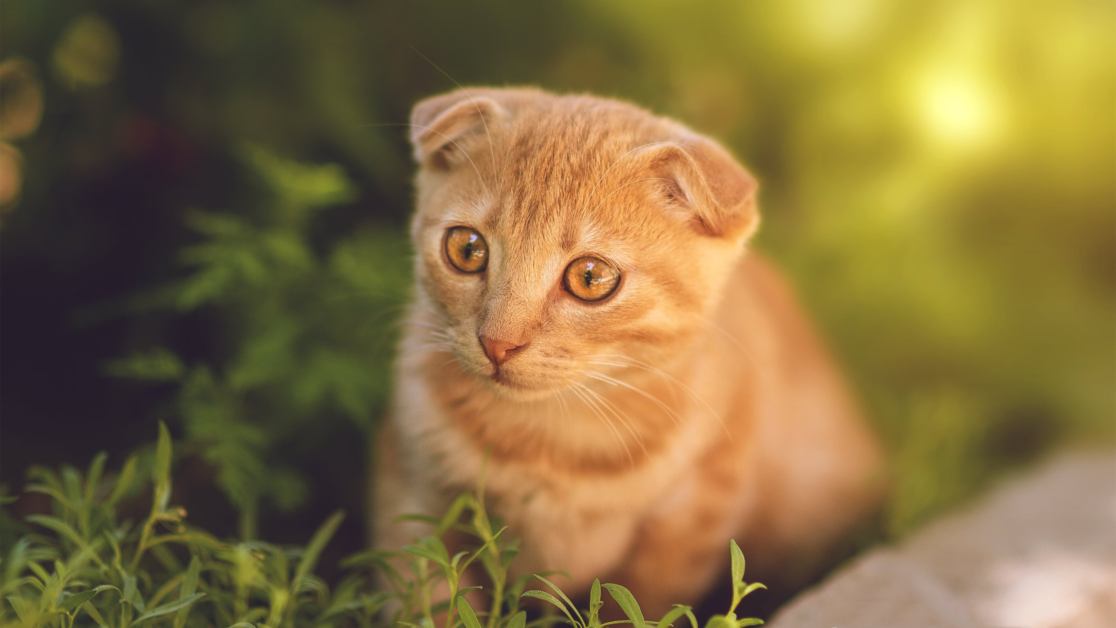 九游APP官网-切尔西女足参加慈善比赛公益活动,切尔西女足夺冠