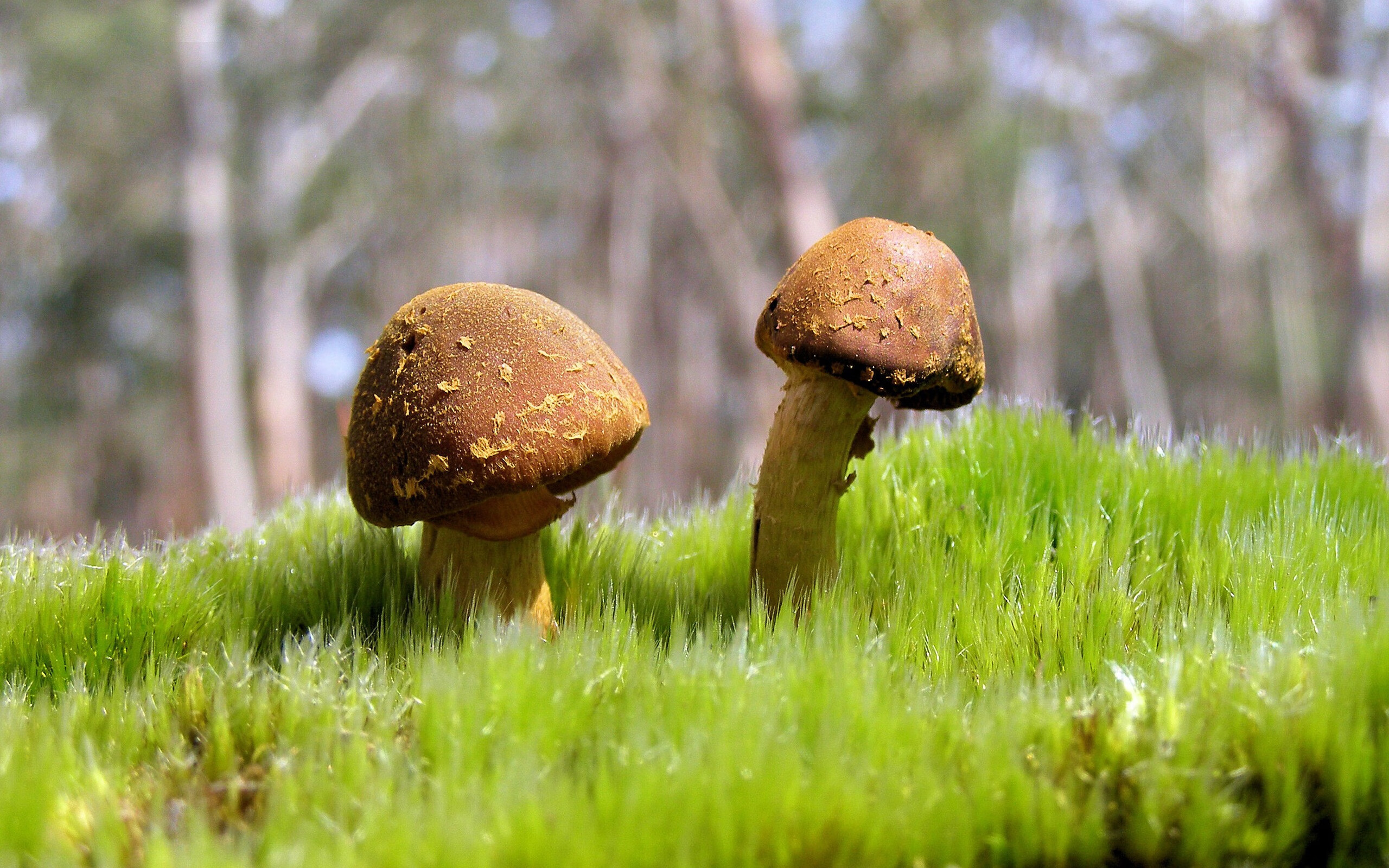 九游网游官网-女足世界杯媒体合作伙伴介绍，女足参加世界杯名单