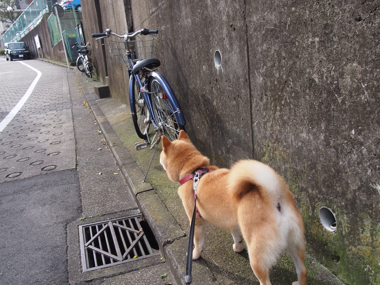 九游app下载中心-巴黎客负切尔西，梦断半决赛，大巴黎转会切尔西后卫