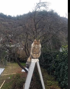 九游娱乐(jiuyou)官方网站-掘金完封湖人,全明星赛前哨战中约基奇双手暴扣点燃全场,掘金约基奇合同