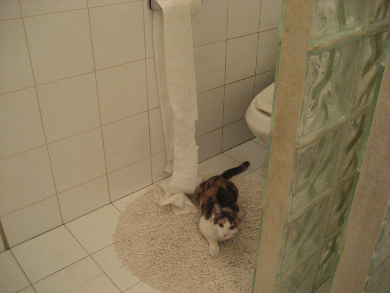 九游电脑版-桑乔租借加盟多特蒙德,重拾状态,桑乔是多特青训吗