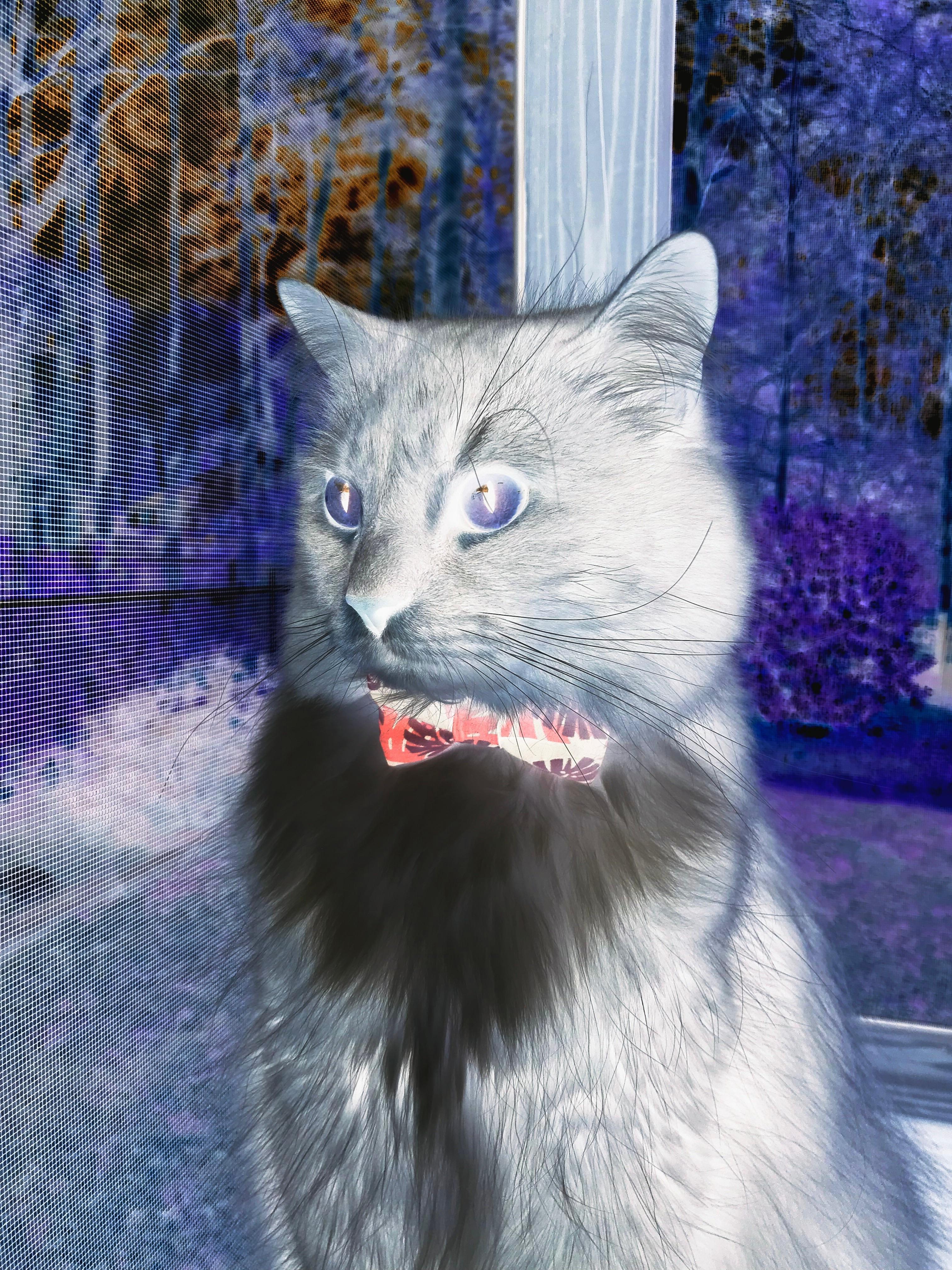 九游9游-水晶宫外援紧急离队,球队积极补强,水晶宫队是什么级别