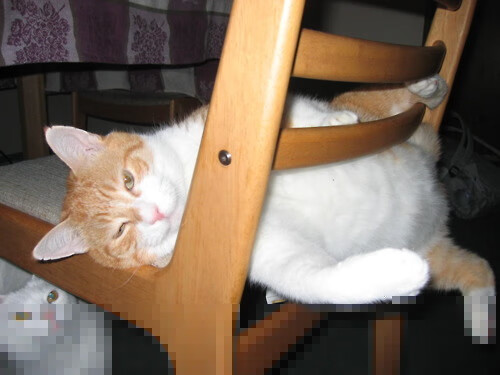 九游下载官网-沙特球队巧夺胜利，实力备受认可，沙特队球员名单