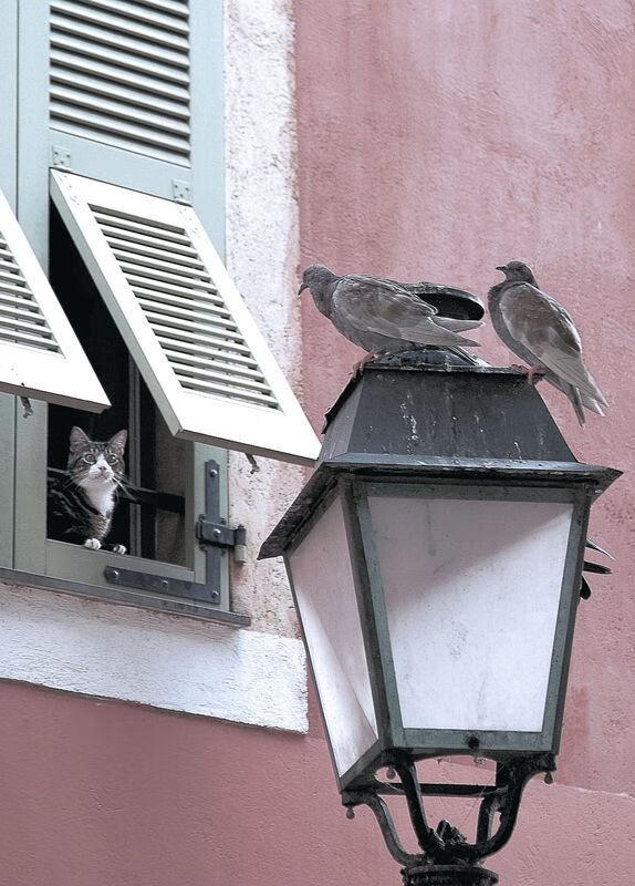 JIUYOU GAMING-热议射击项目进军青少年赛事，2020年青少年射击比赛在哪里