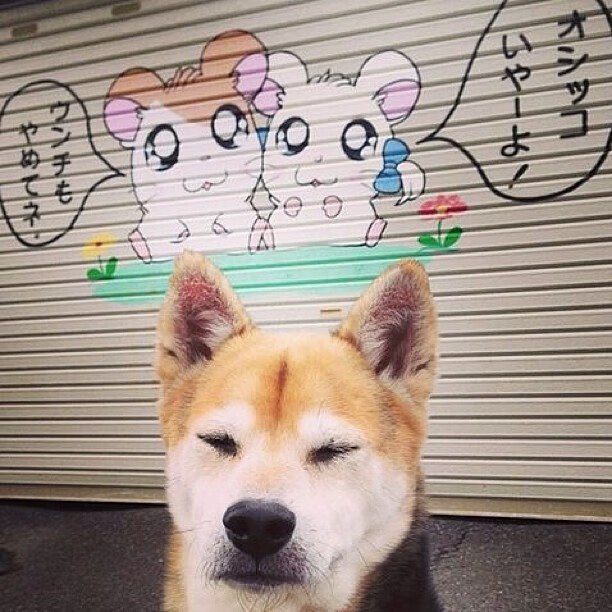 九游官网下载电脑版-球队在全球杯篮球赛上力挫对手，晋级下一轮，篮球全球比赛视频直播