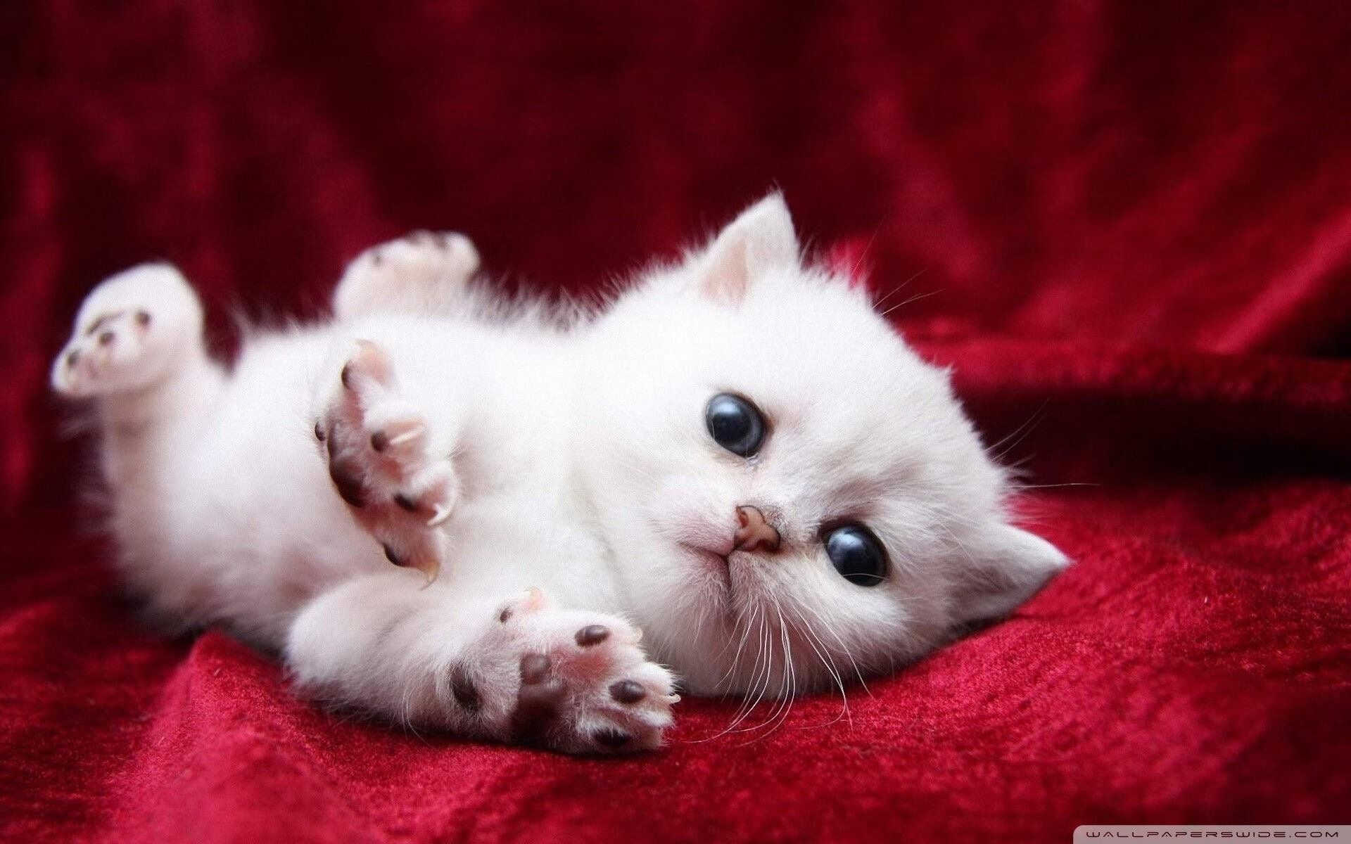 九游APP官网-皇马主场4-1大胜皇家社会，进攻火力全开，皇马4-1暂登榜首