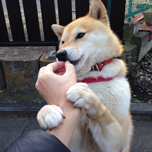 详细阅读:九游网页版官网-米兰德比:国际米兰对阵AC米兰,米兰德比全场回放 九游网页版官网-米兰德比:国际米兰对阵AC米兰,米兰德比全场回放