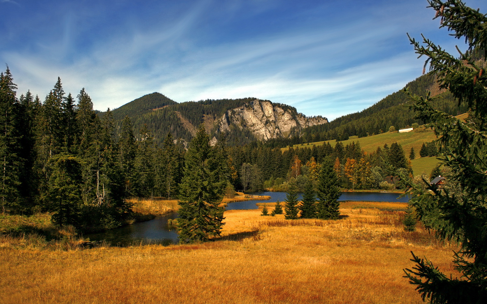九游下载安装-红军在英联杯中展现青训球员实力，英国足球俱乐部 红军