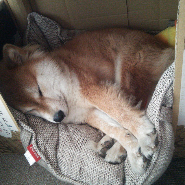 九游(jiuyou)官方网站-隆多尼亚在最新一场比赛中获得胜利，隆多2021最新赛事