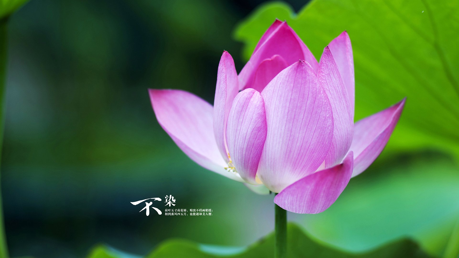 九游sports-新闻中心发布年度战略规划，战略部署会议新闻稿