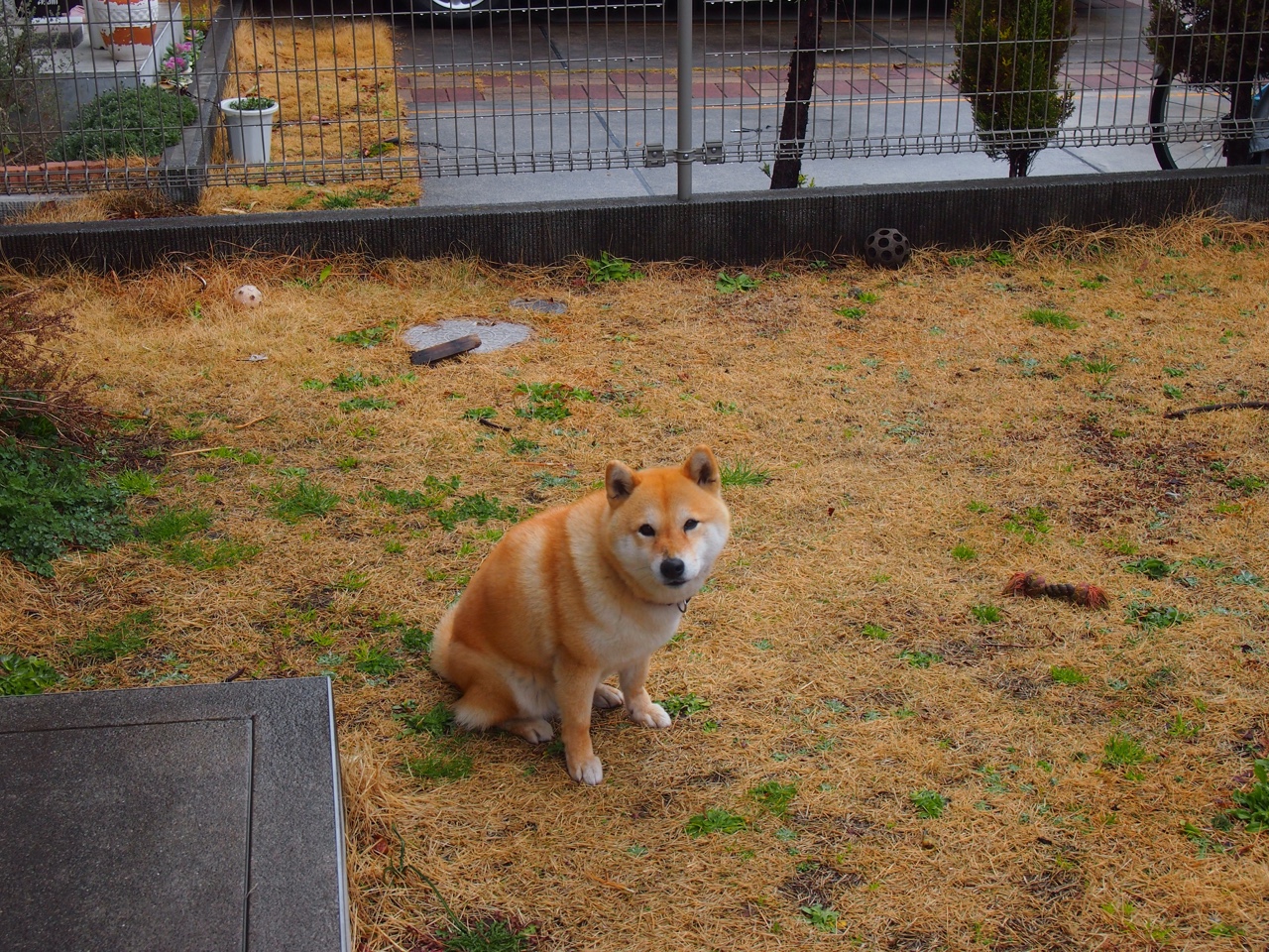 九游登录入口-中国羽毛球队启用年轻阵容锻炼新人，中国青年羽毛球队