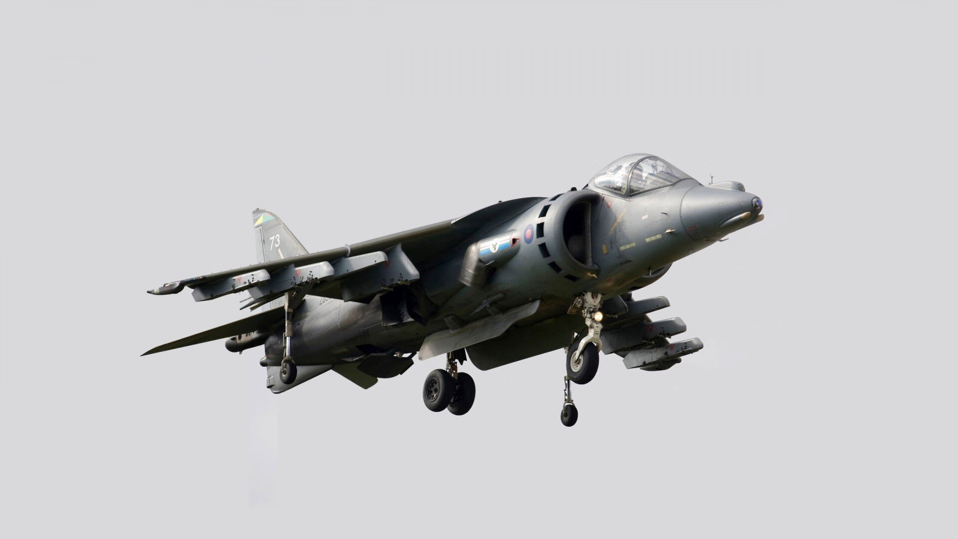 九游下载中心-女子自由泳赛场气氛热烈，女子自由泳比赛视频