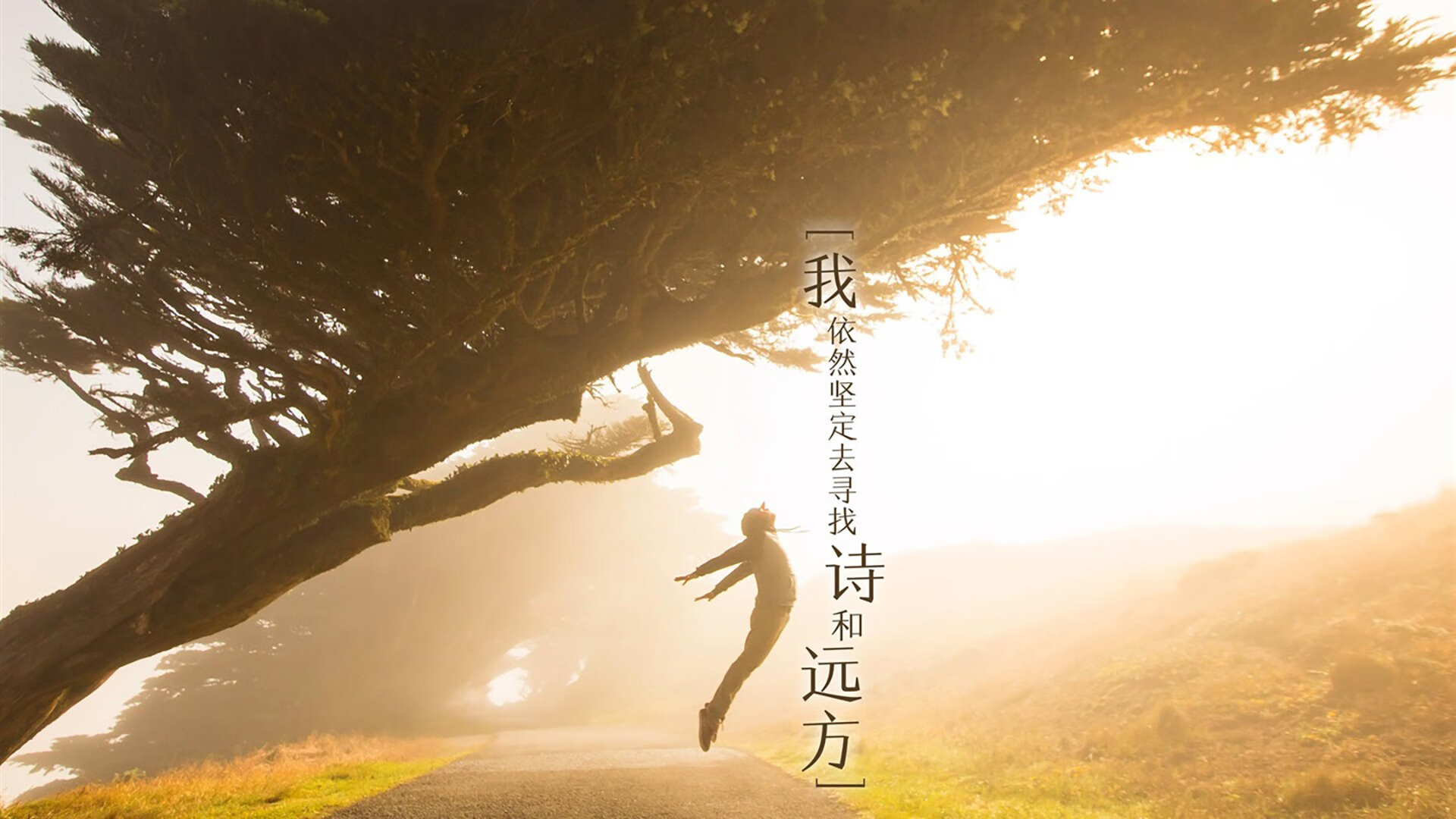 九游下载安装-巴西足球文化深厚，青训体系迎来新突破