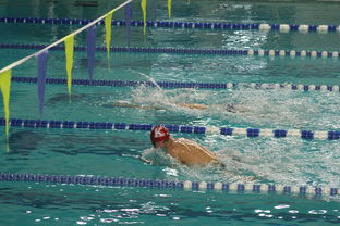 九游娱乐-张雨霏自由泳接力助队夺冠，张雨霏自由泳接力助队夺冠了吗