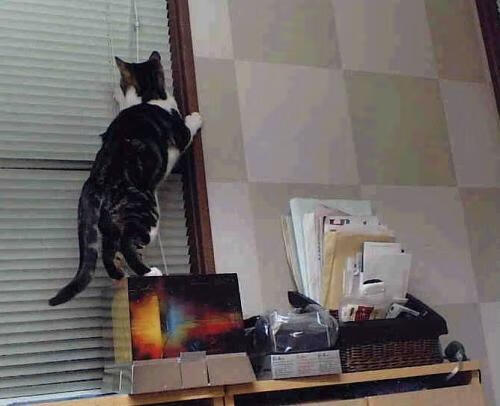 九游下载安装-曼联在关键比赛中逆转获胜,追赶领先队伍