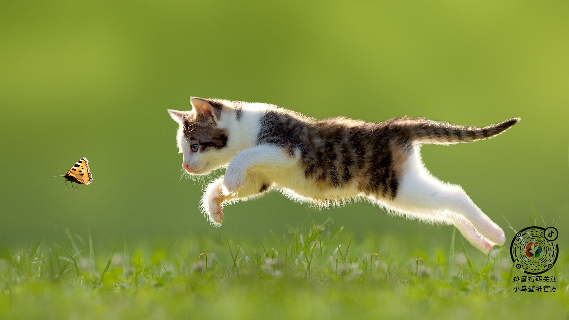 九游下载官网-欧洲杯终极角逐:战术和技术的巅峰之战,欧洲杯终局战2021欧洲杯赛程表