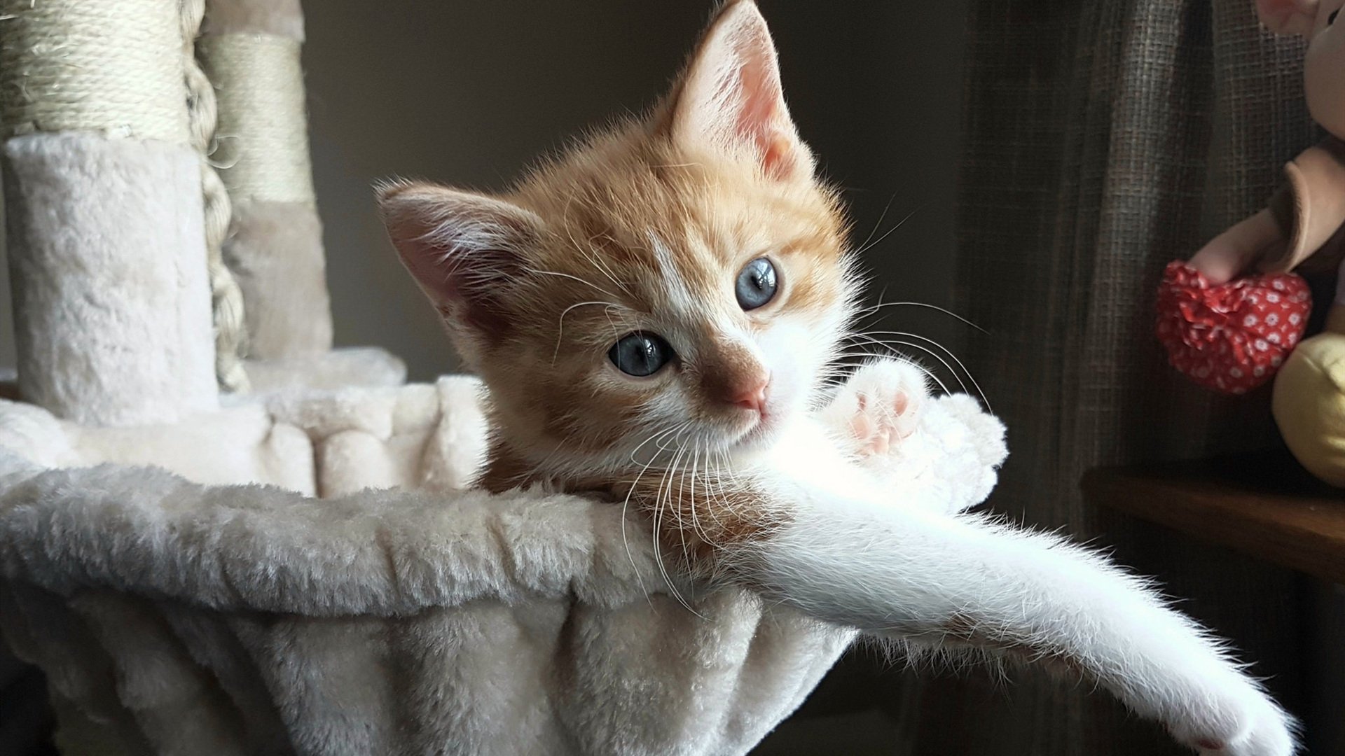 九游娱乐-西甲攻防大战：精彩瞬间层出不穷！，西甲攻略