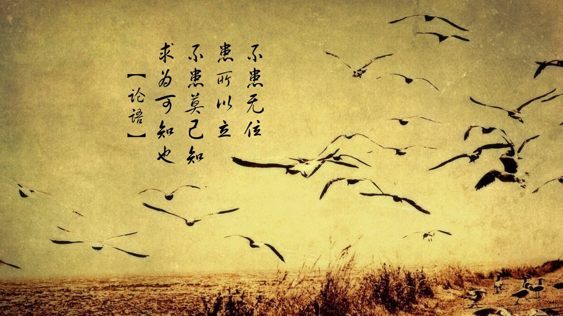 九游娱乐(jiuyou)官网-青年球员首次亮相受关注，中国青年球员