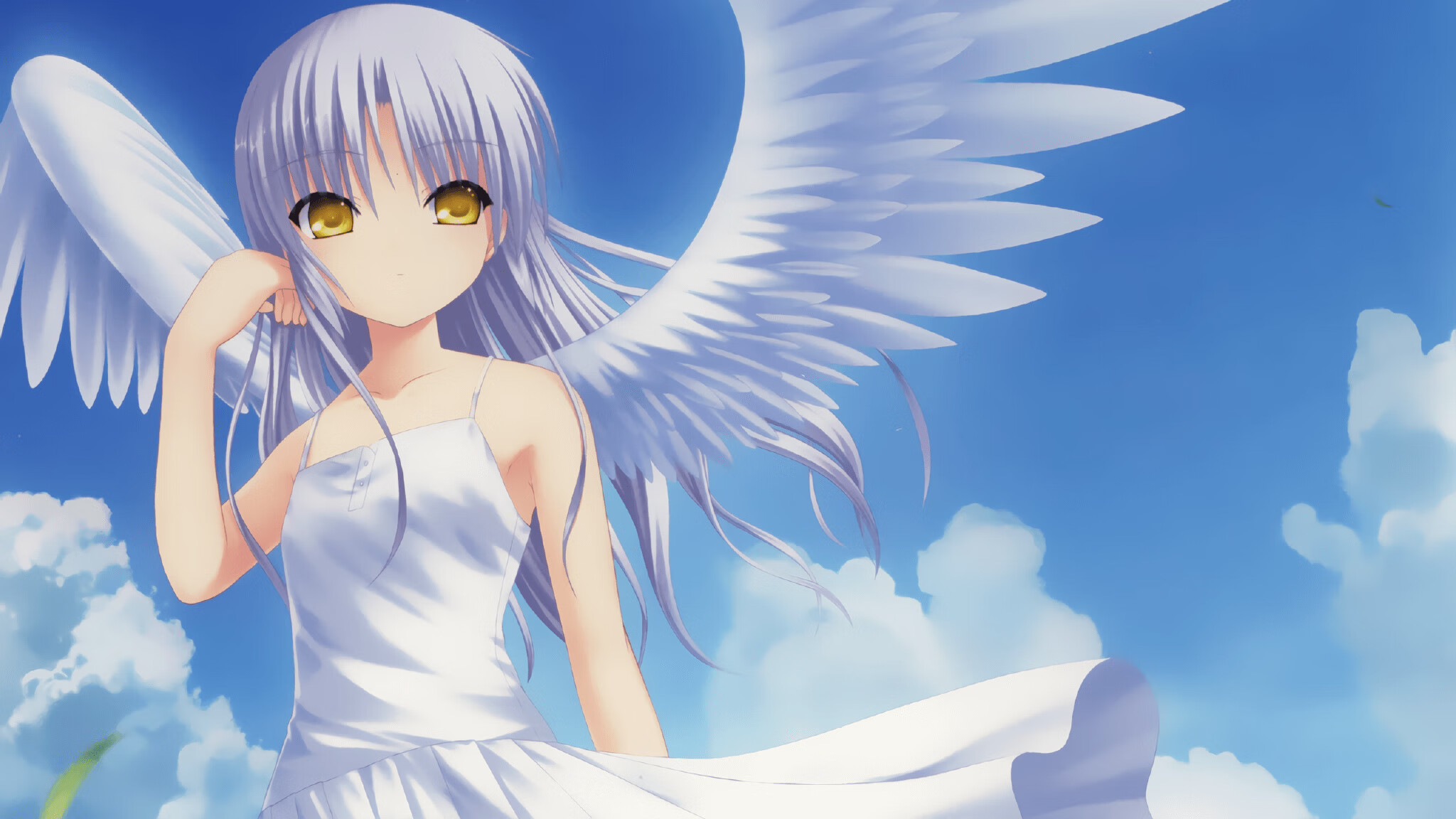 Jiu You-马术运动安全标准全面修订，马术安全防范知识